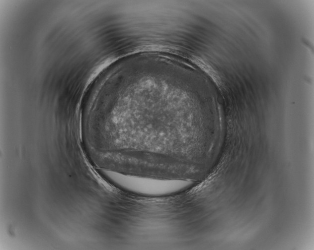 X0000094381127200711301354