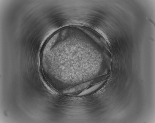 X0000094381128200711301354