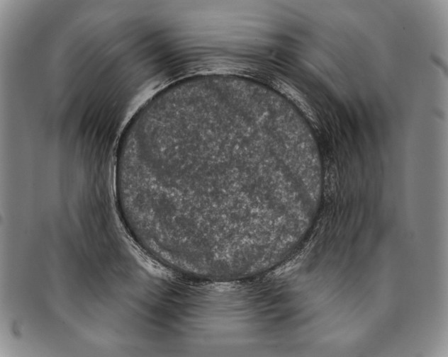 X0000094381130200711301354