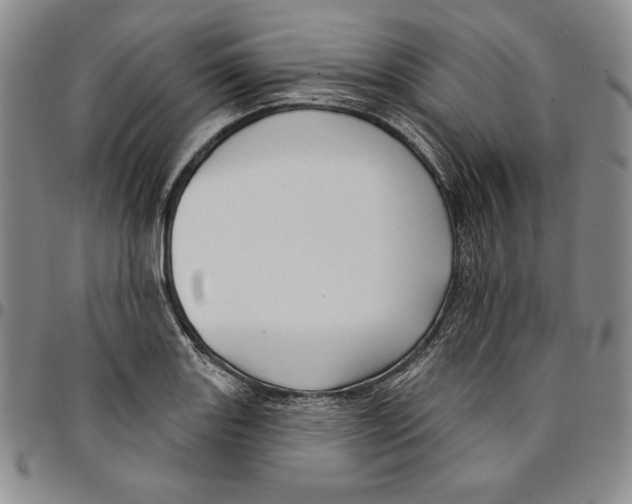 X0000094381131200711301354