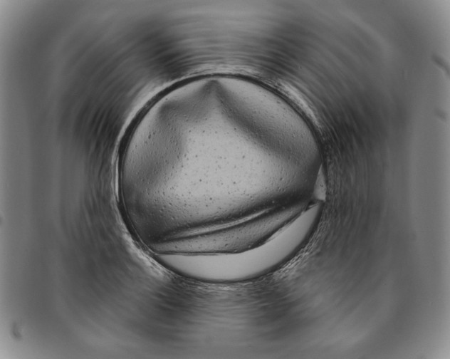 X0000094381132200711301354