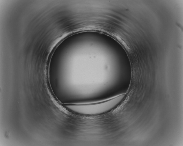 X0000094381134200711301354