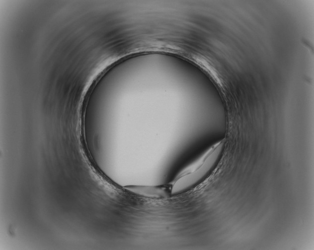 X0000094381136200711301354