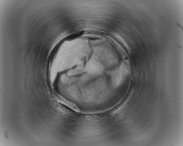 X0000094381138200711301354