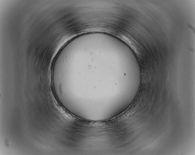 X0000094381140200711301354