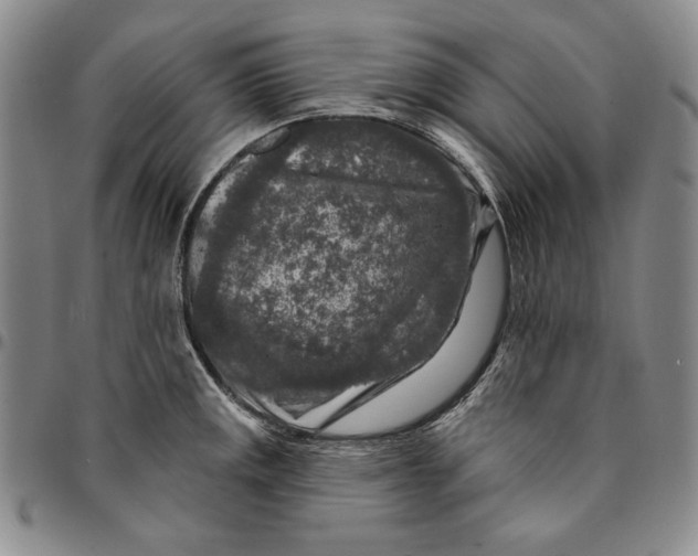 X0000094381141200711301354