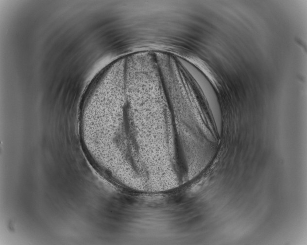 X0000094381143200711301354