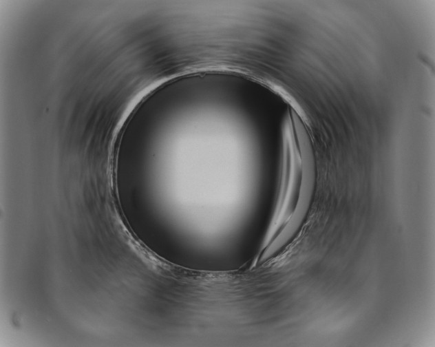 X0000094381148200711301354
