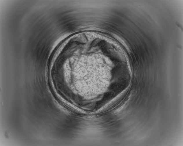 X0000094381149200711301354