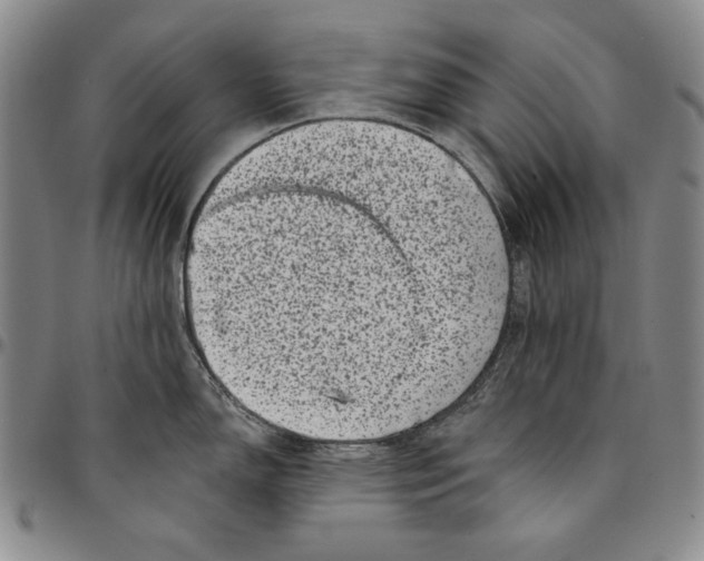 X0000094381150200711301354
