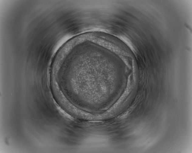 X0000094381151200711301354