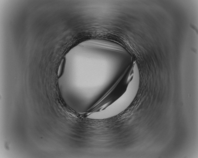 X0000094381153200711301354