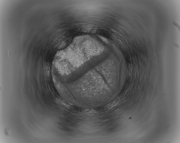 X0000094381154200711301354