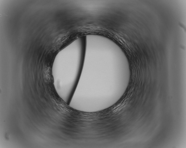X0000094381156200711301354