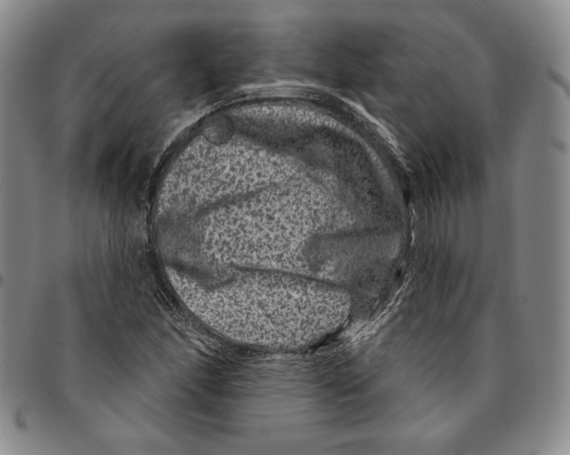 X0000094381166200711301354