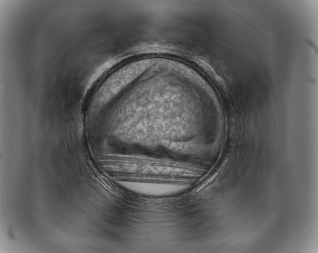 X0000094381167200711301354
