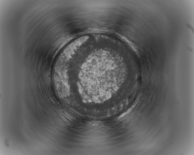 X0000094381170200711301354