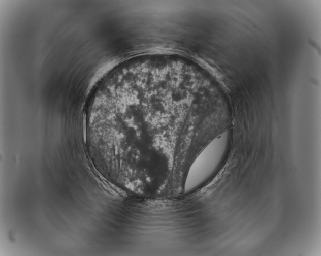 X0000094381171200711301354