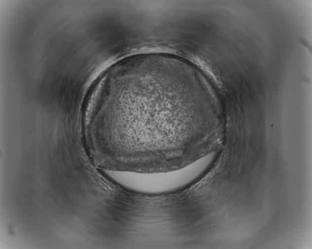 X0000094381173200711301354