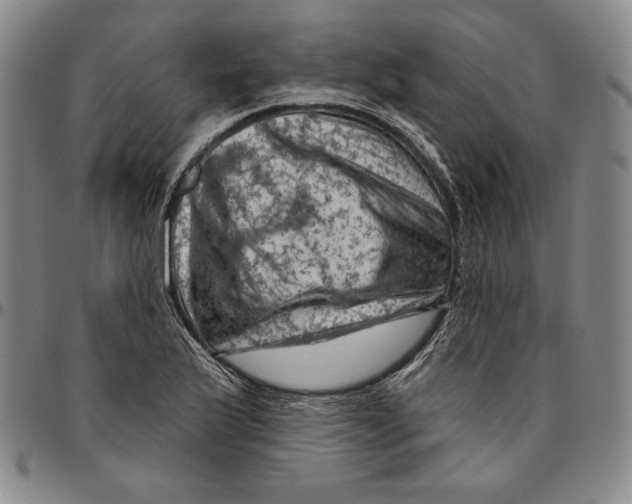 X0000094381175200711301354