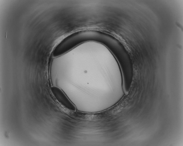 X0000094381176200711301354