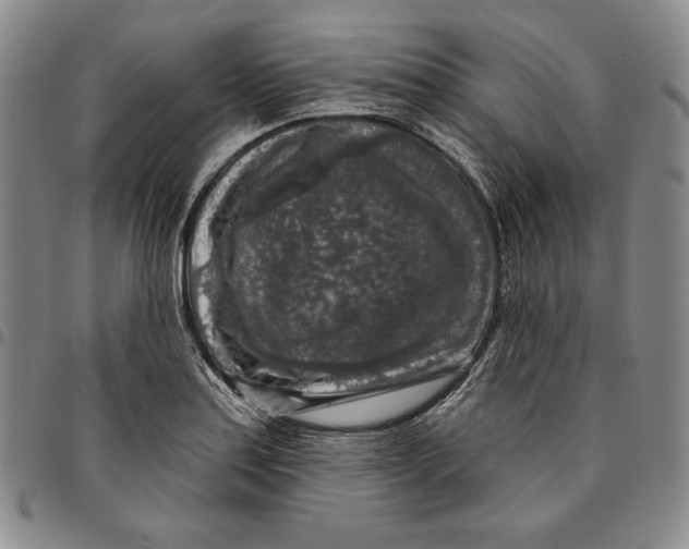 X0000094381179200711301353