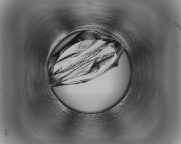 X0000094381180200711301353