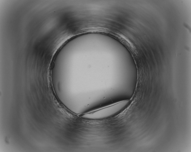 X0000094381182200711301353