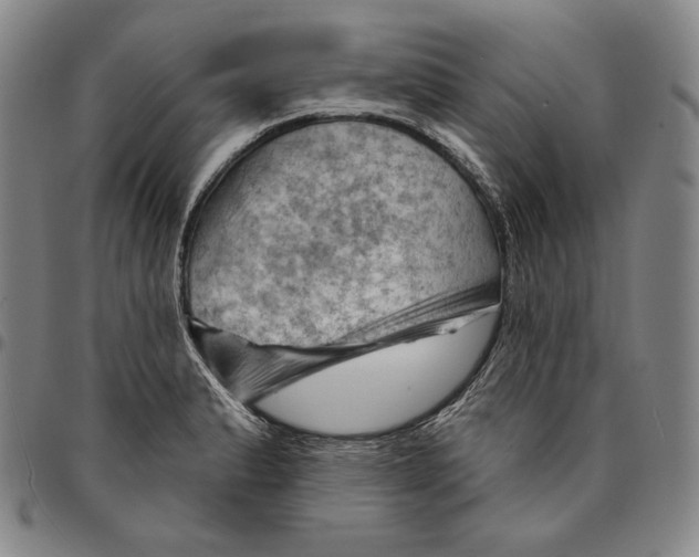 X0000094381183200711301353