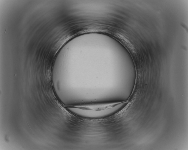 X0000094381185200711301353