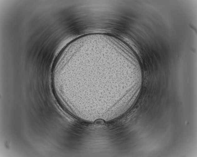 X0000094381187200711301353