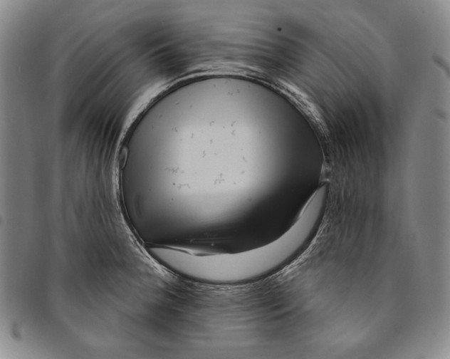 X0000094381188200711301353
