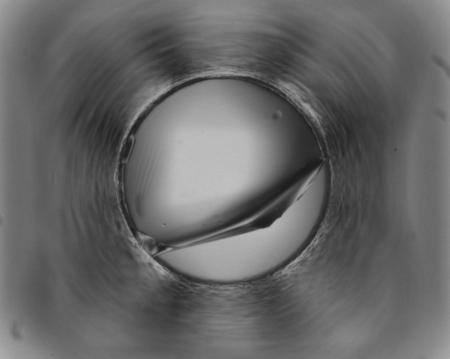 X0000094381189200711301353
