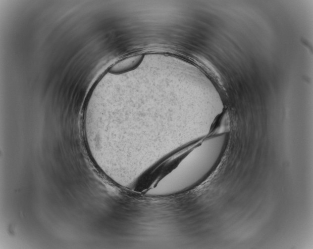 X0000094381190200711301353