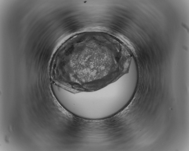 X0000094381192200711301353