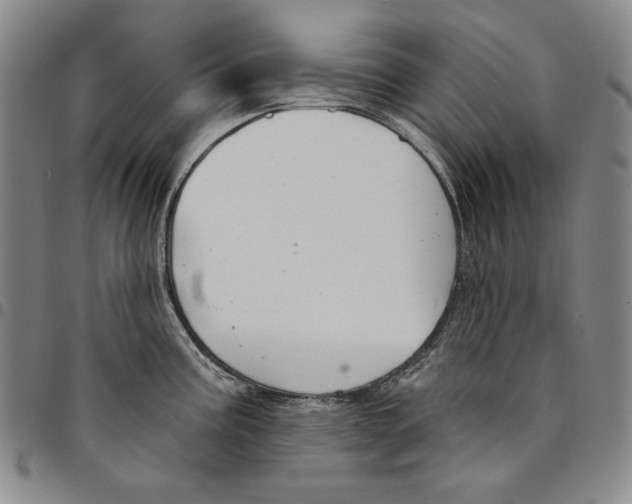 X0000094381195200711301353