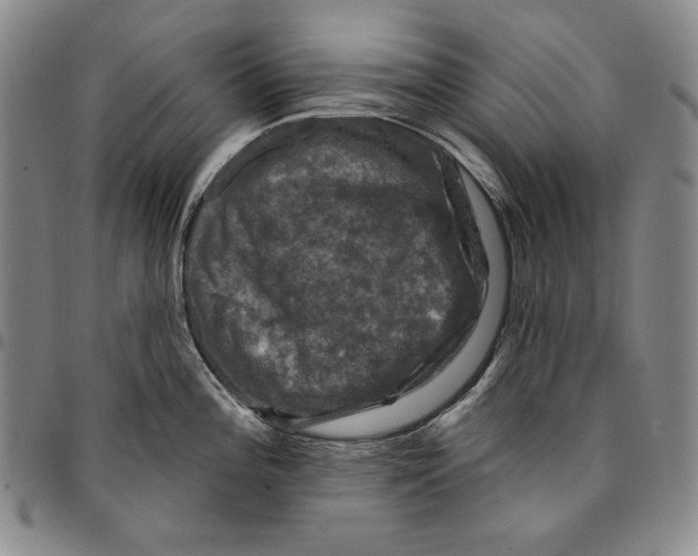 X0000094381196200711301353