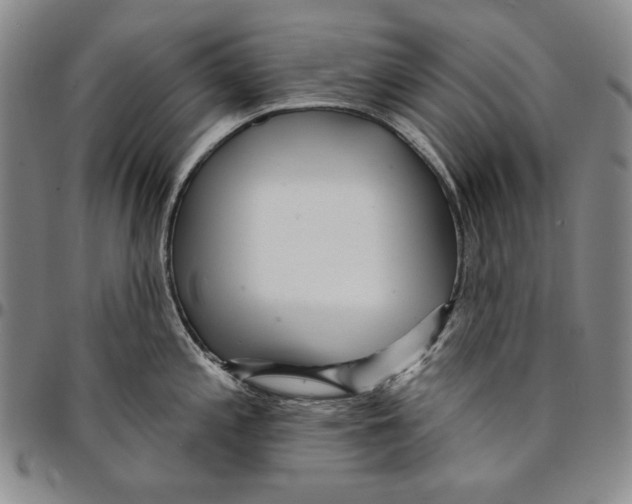 X0000094381197200711301353