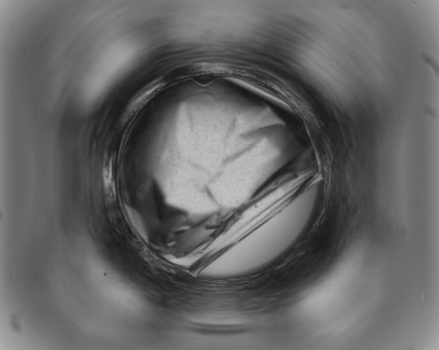 X0000094381198200711301353