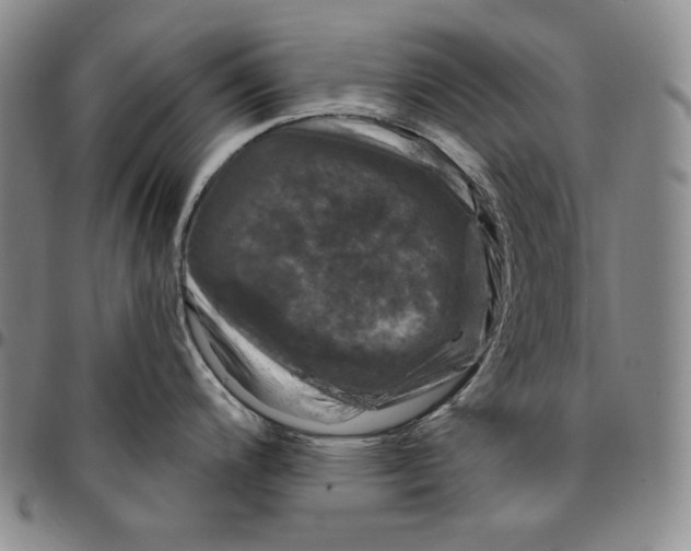X0000094381200200711301353