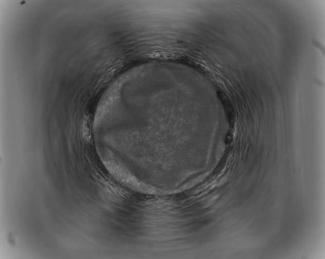 X0000094381202200711301352