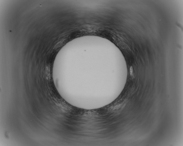X0000094381203200711301352