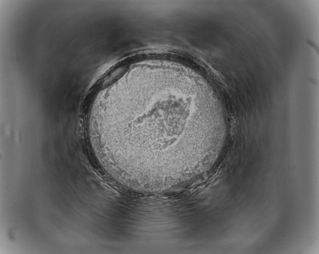 X0000094381208200711301352