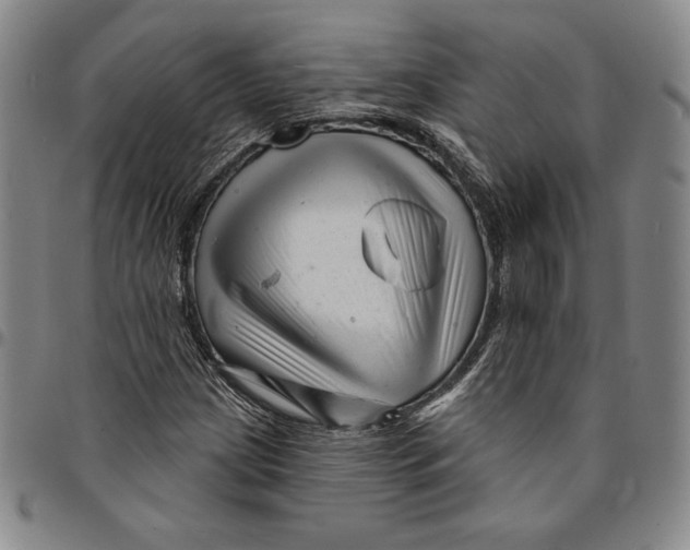 X0000094381209200711301352