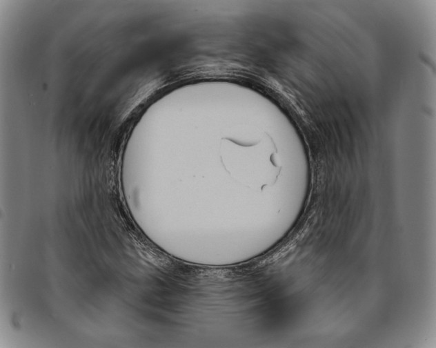 X0000094381211200711301353