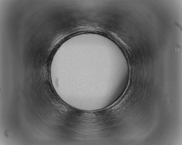 X0000094381215200711301353