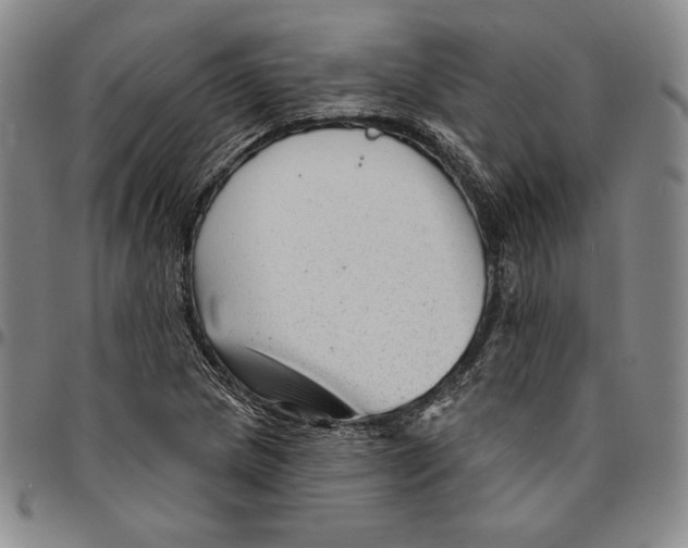 X0000094381217200711301353