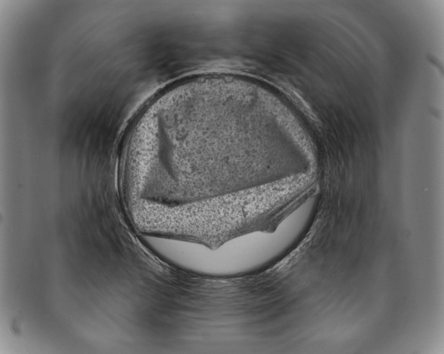 X0000094381224200711301353