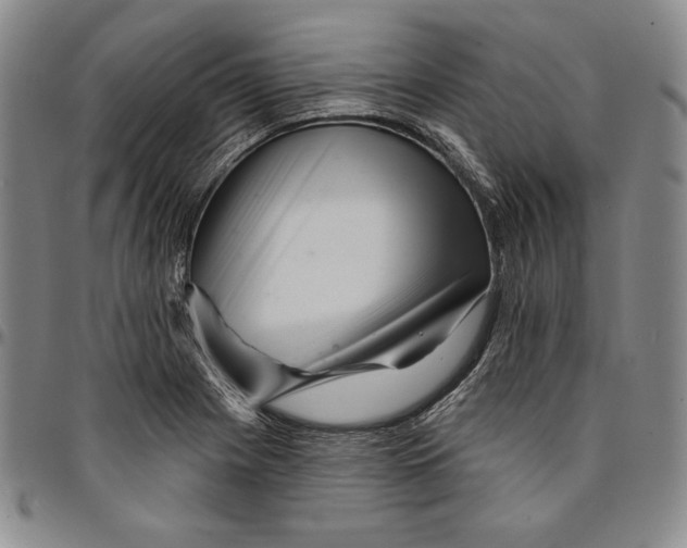 X0000094381225200711301353