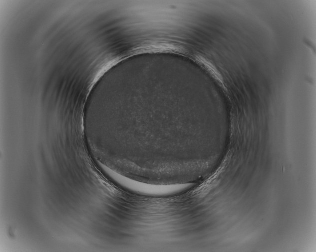 X0000094381226200711301353
